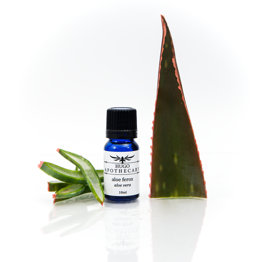 Aloe Ferox essential oil - aloe vera