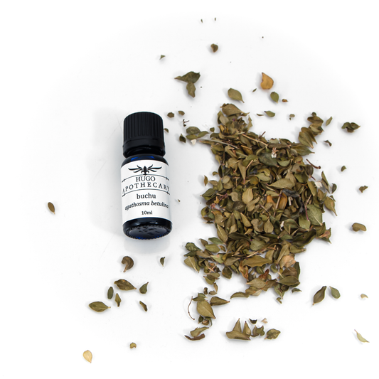 Buchu essential oil - agathosma betulina