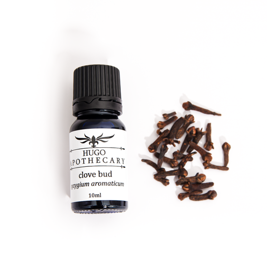 Clove bud essential oil - syzygium aromaticum