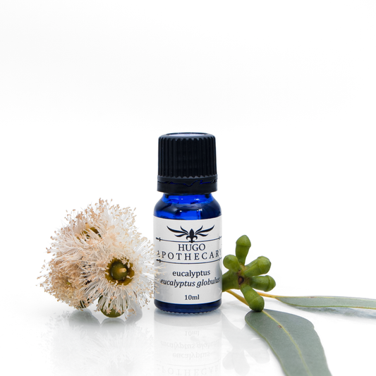 Eucalyptus essential oil - eucalyptus globulus