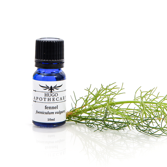 Fennel essential oil - foeniculum vulgare