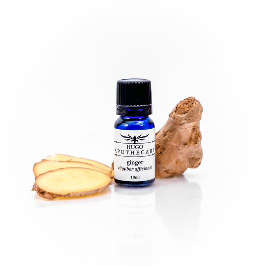 Ginger essential oil - zingiber officinale