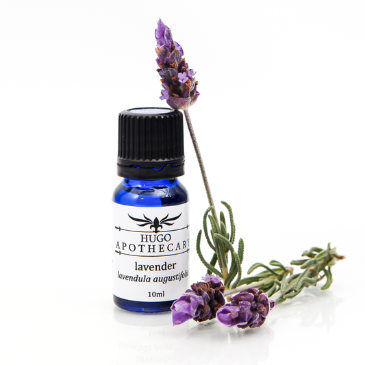 Lavender essential oil  - lavendula augustifolia