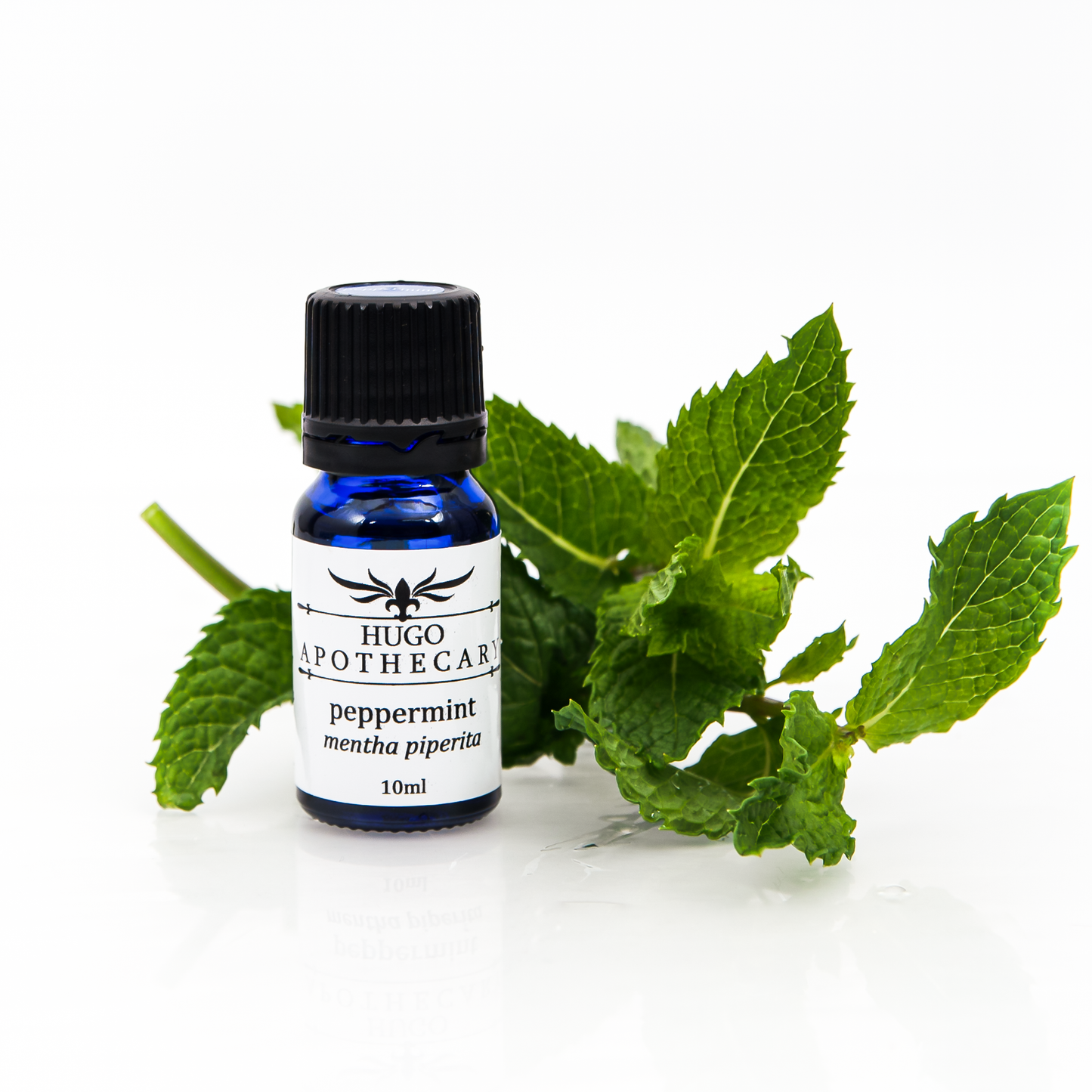 Peppermint essential oil - mentha piperita