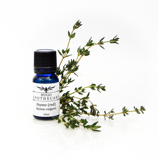 Thyme (Red) essential oil - thymus vulgaris