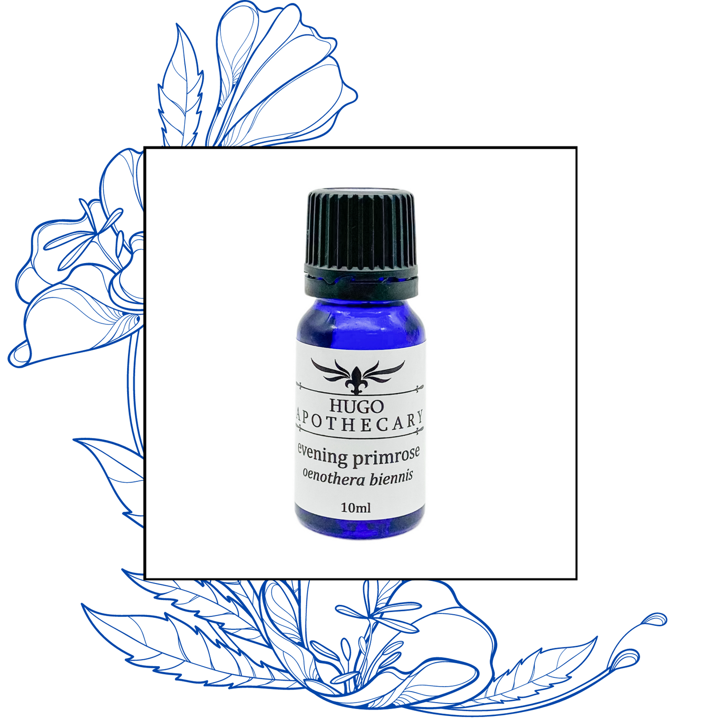 Evening Primrose essential oil