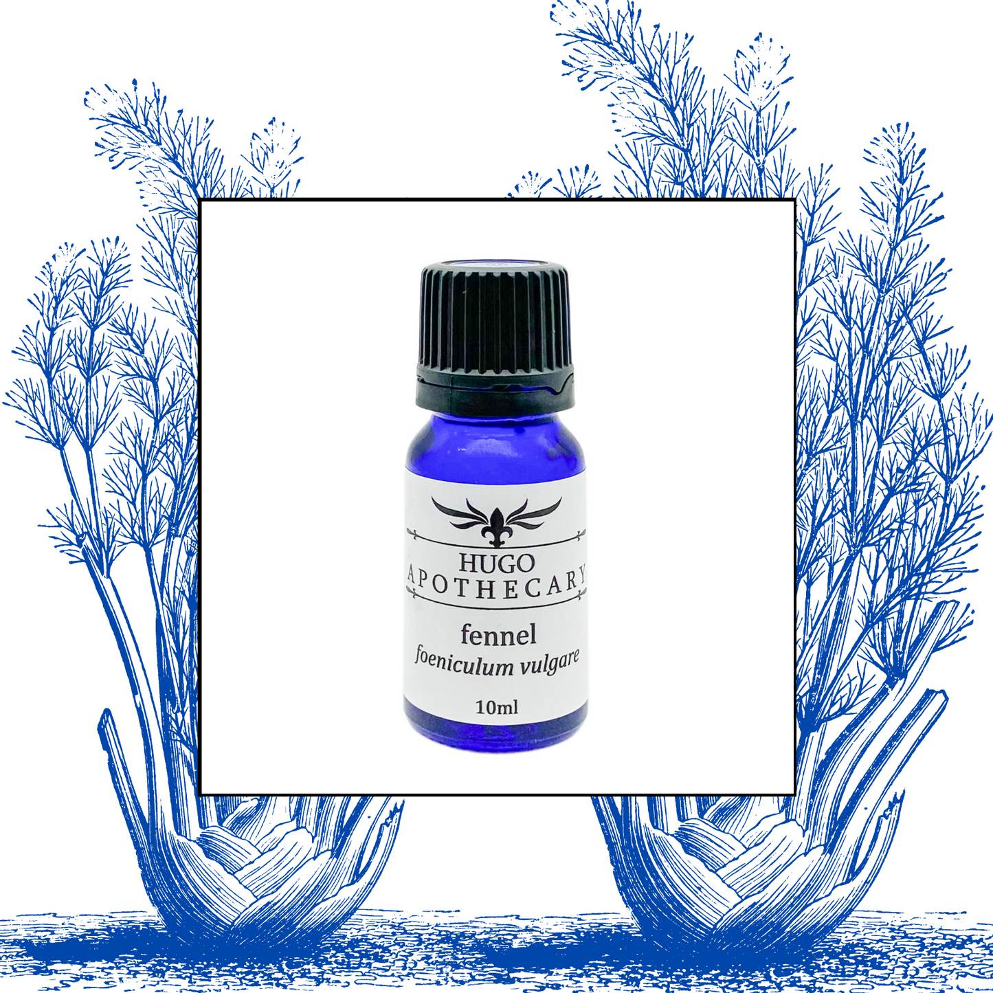 Fennel essential oil