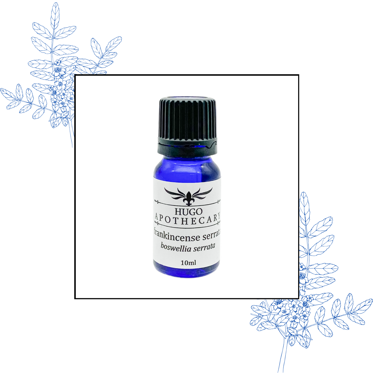 Frankincense essential oil
