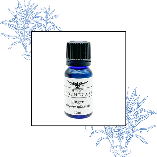 Ginger essential oil