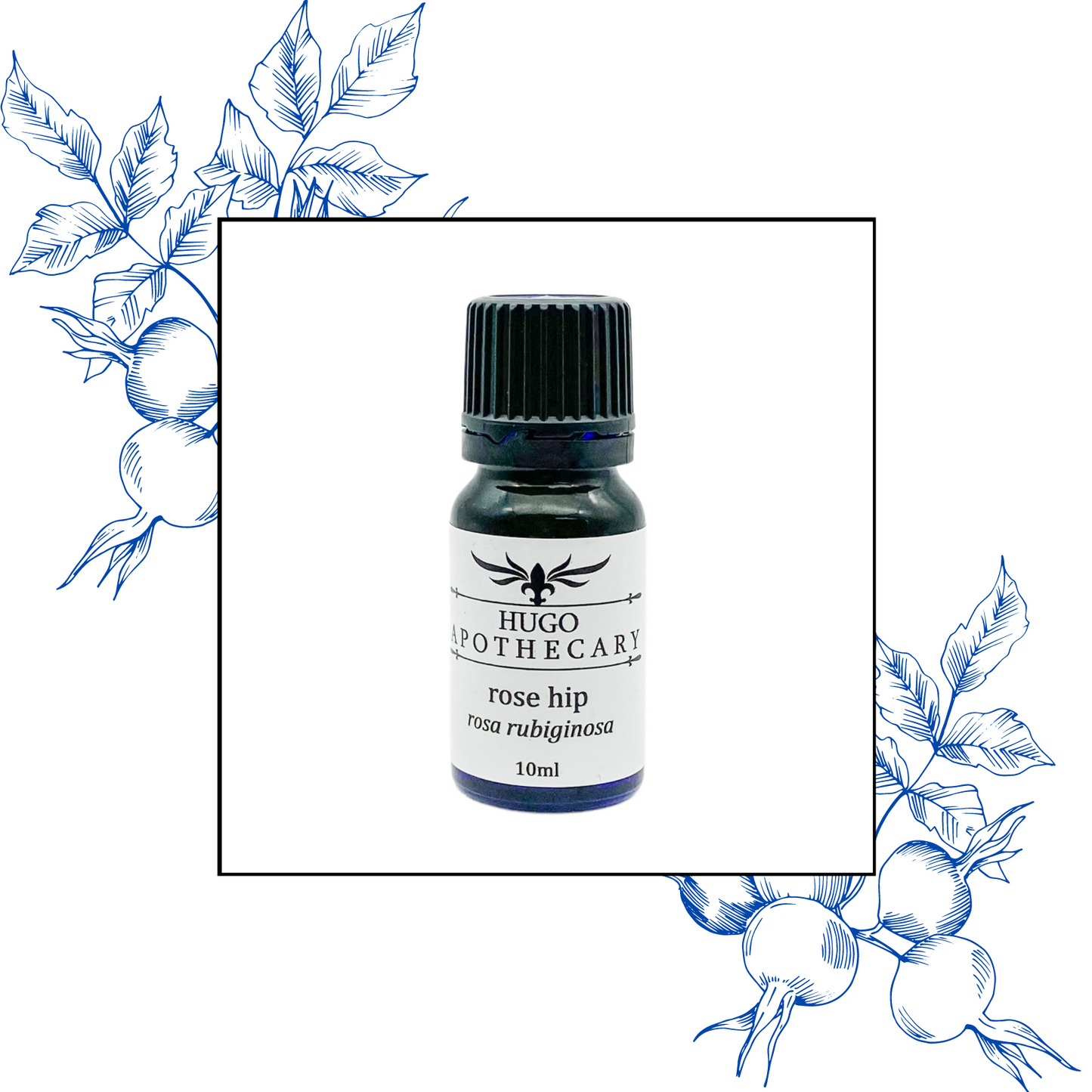 Rose Hip essential oi