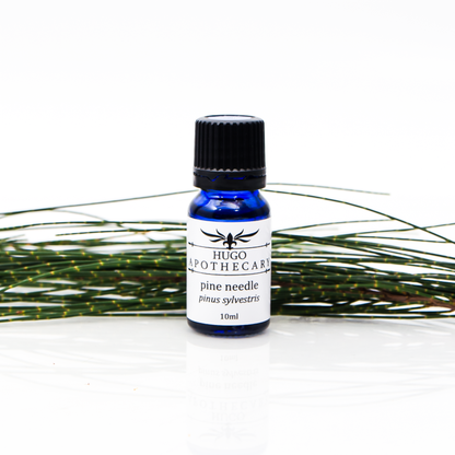 Pine Needle essential oil - pinus sylvestris