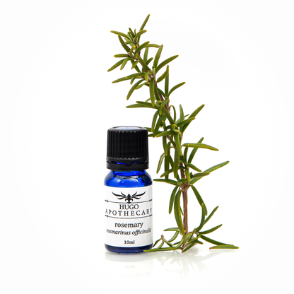 Rosemary essential oil - rosmarinus officinalis