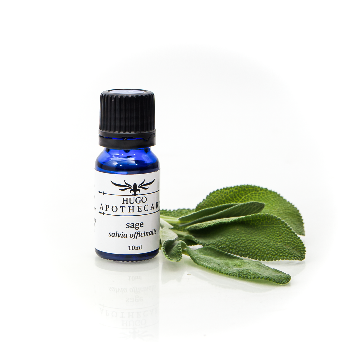 Sage essential oil - salvia officinalis