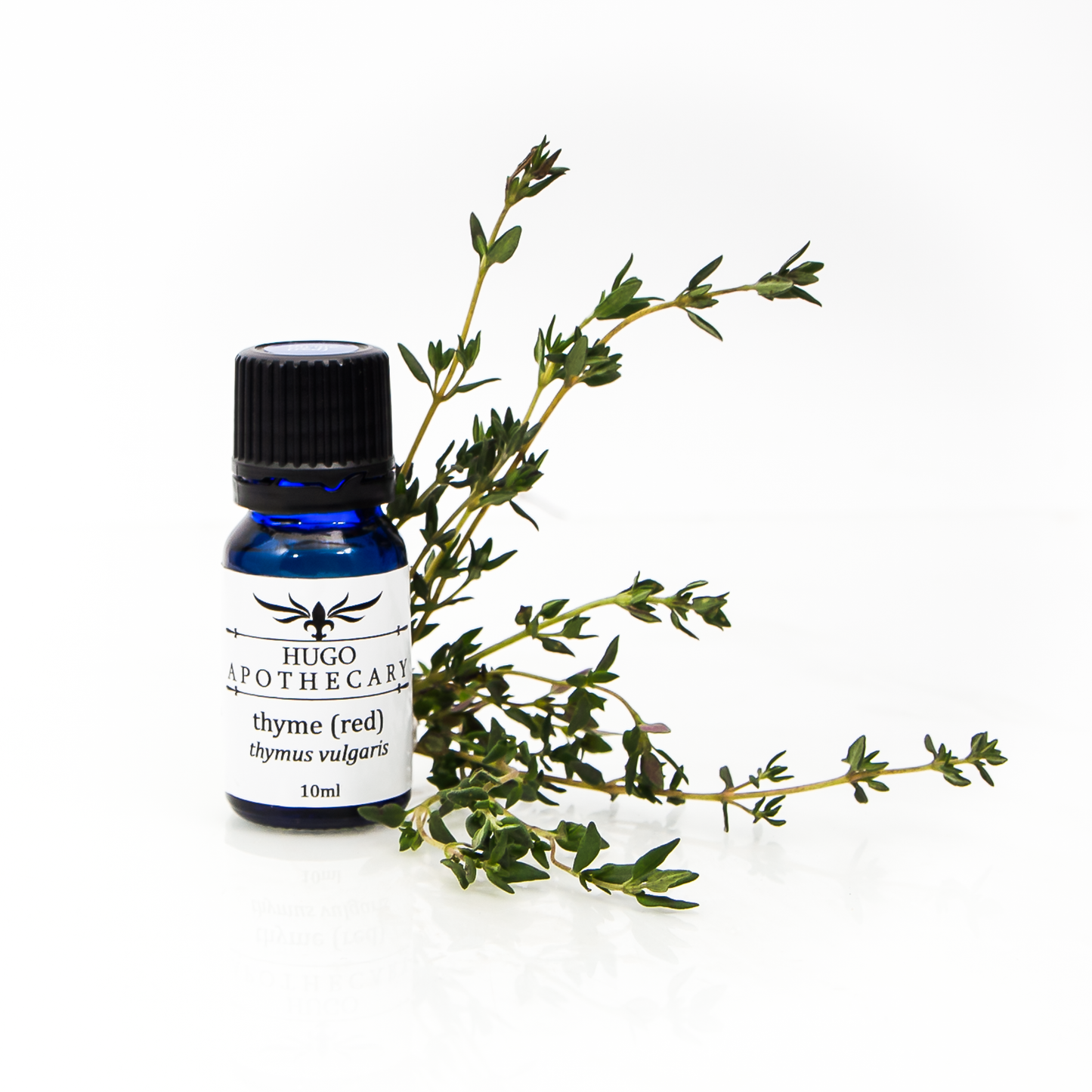 Thyme (Red) essential oil - thymus vulgaris