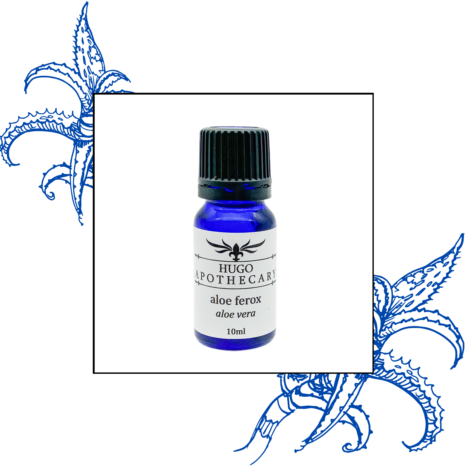Aloe Ferox essential oil (Aloe vera)