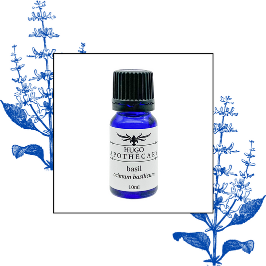 Basil essential oil