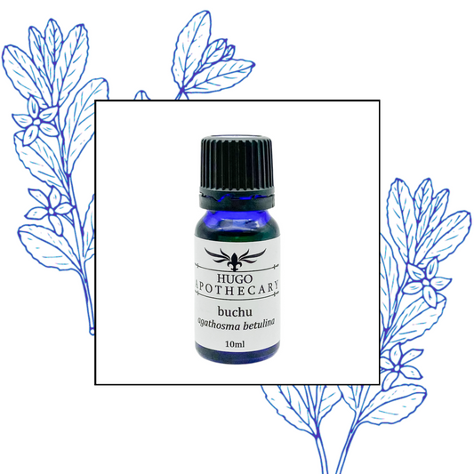 Buchu essential oil
