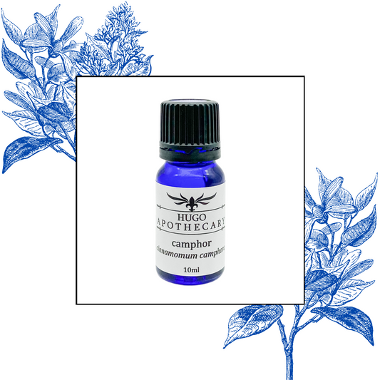 Camphor essential oil