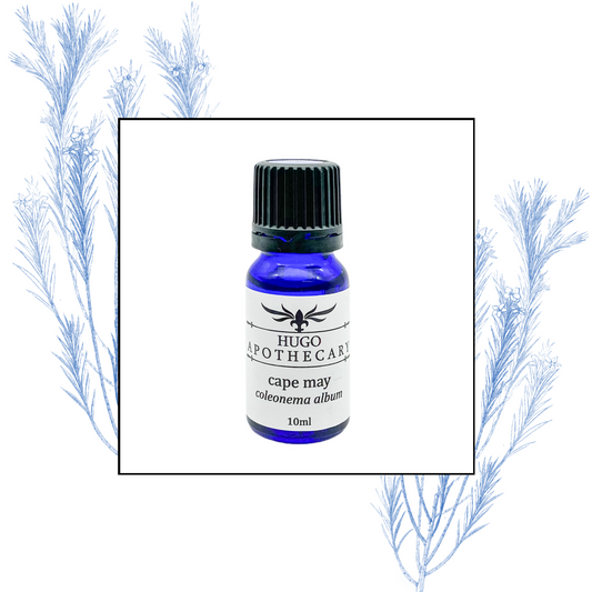 Cape May essential oil