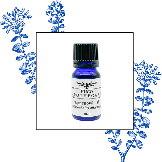 Cape Snowbush essential oil