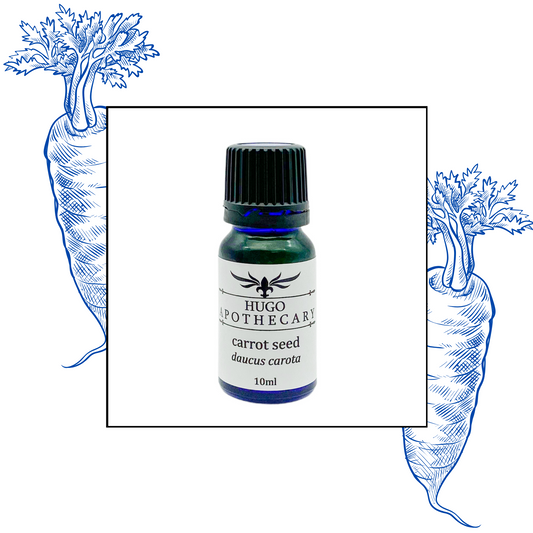 Carrot essential oil