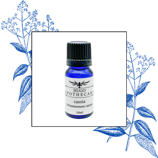 Cassia essential oil