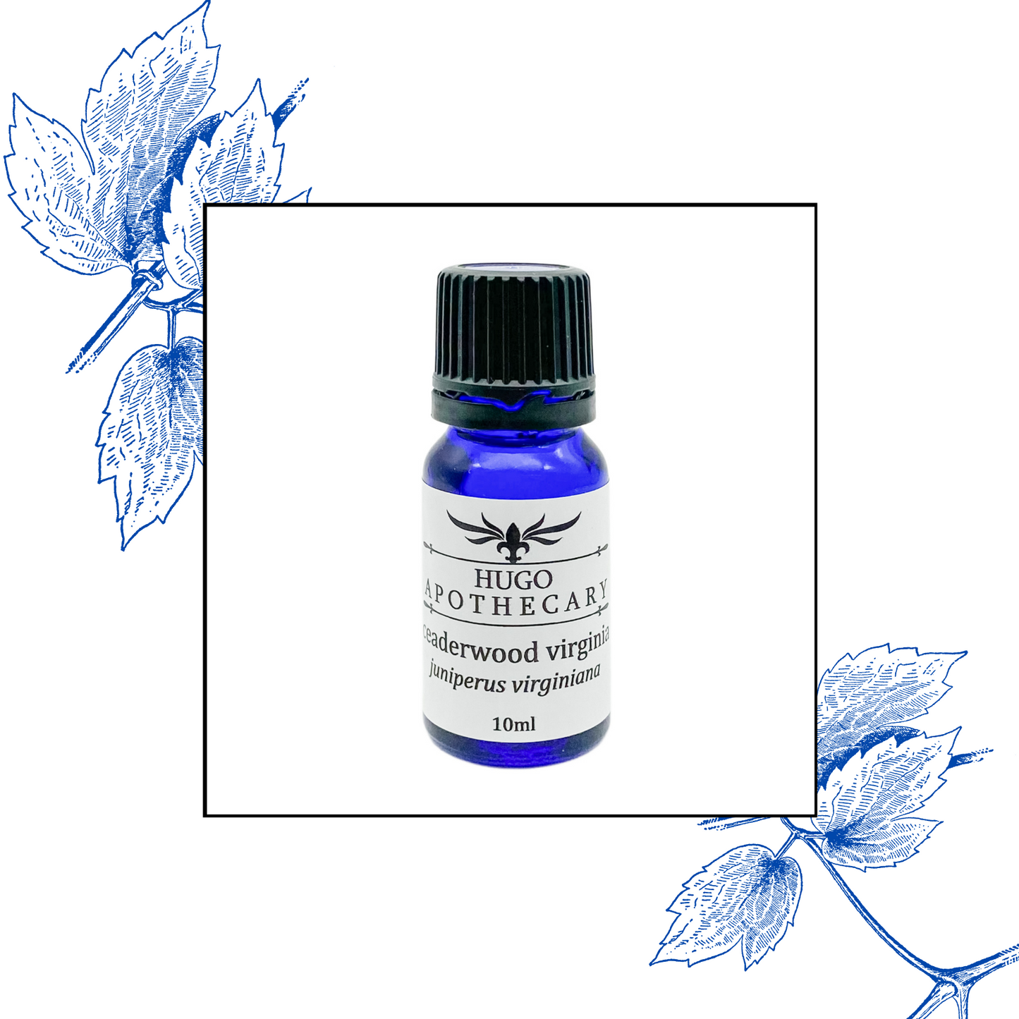 Cedarwood Virginia essential oil
