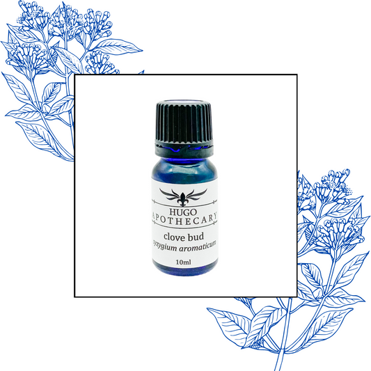 Clove bud essential oil