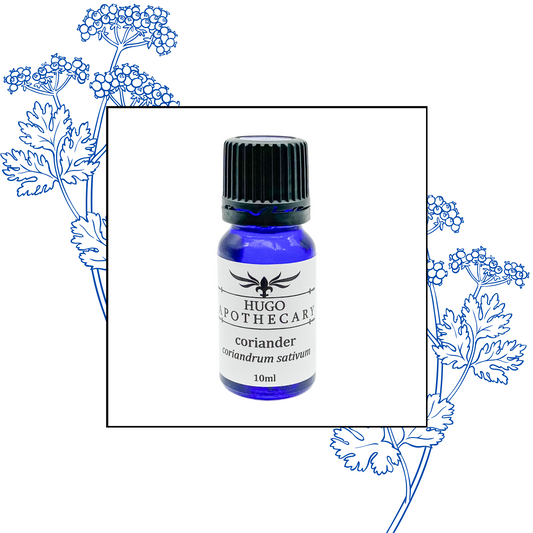 Coriander essential oil