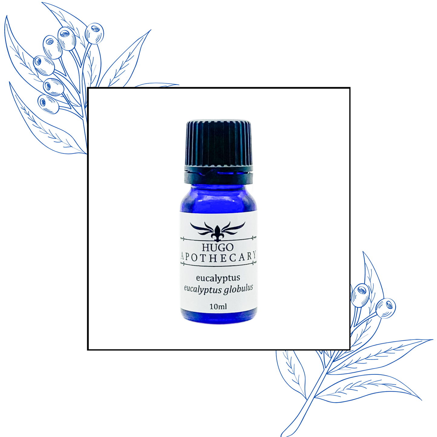 Eucalyptus essential oil