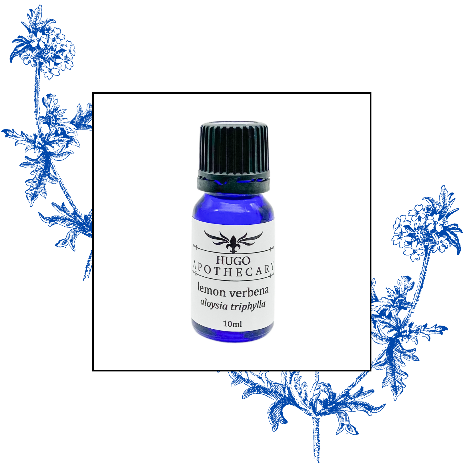 Lemon Verbena essential oil