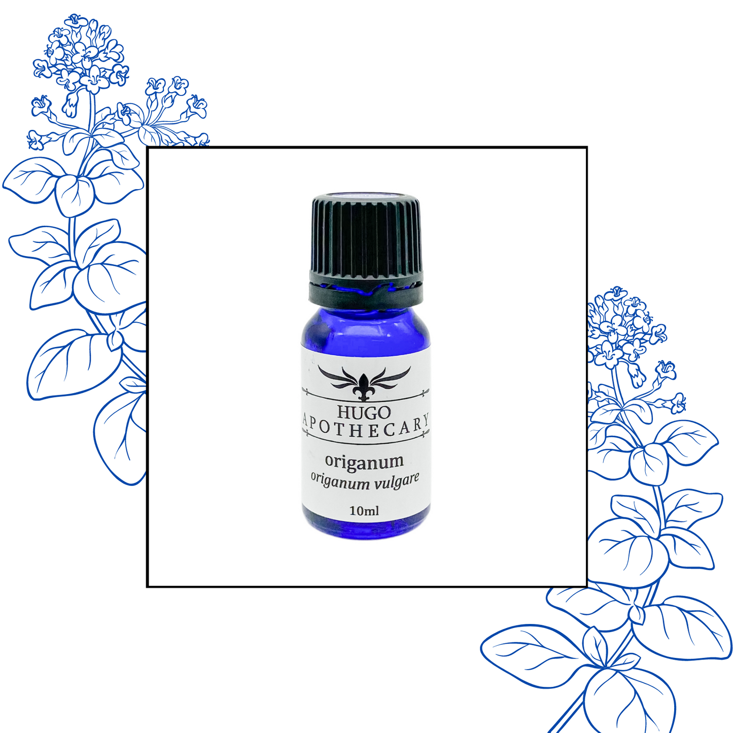 Origanum essential oil