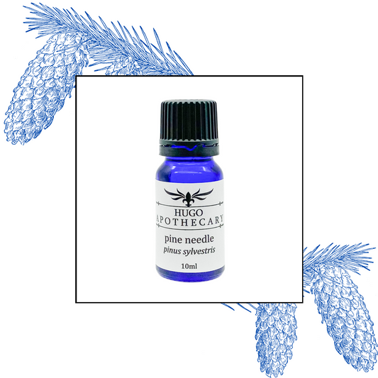 Pine Needle essential oil