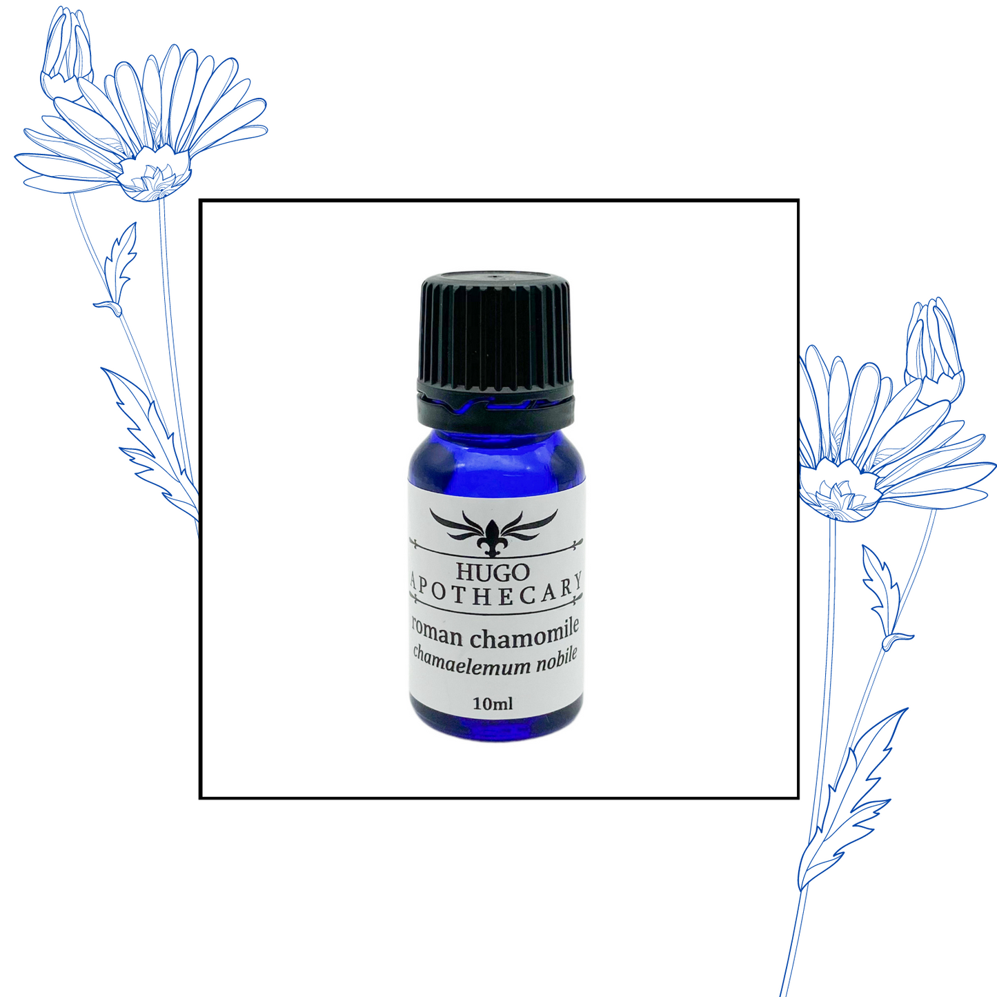 Roman Chamomile essential oil