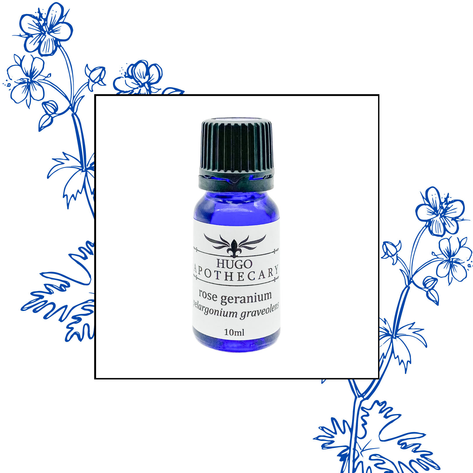 Rose Geranium essential oil