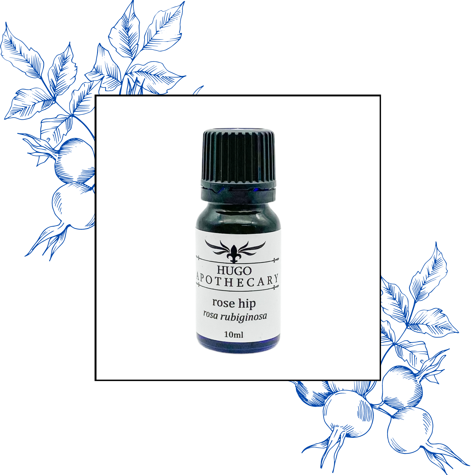 Rose Hip essential oi