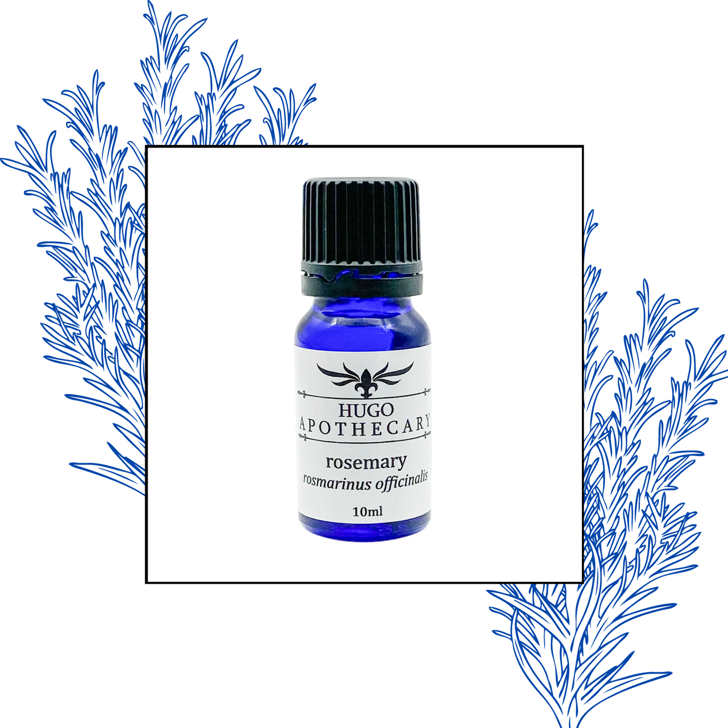 Rosemary essential oil