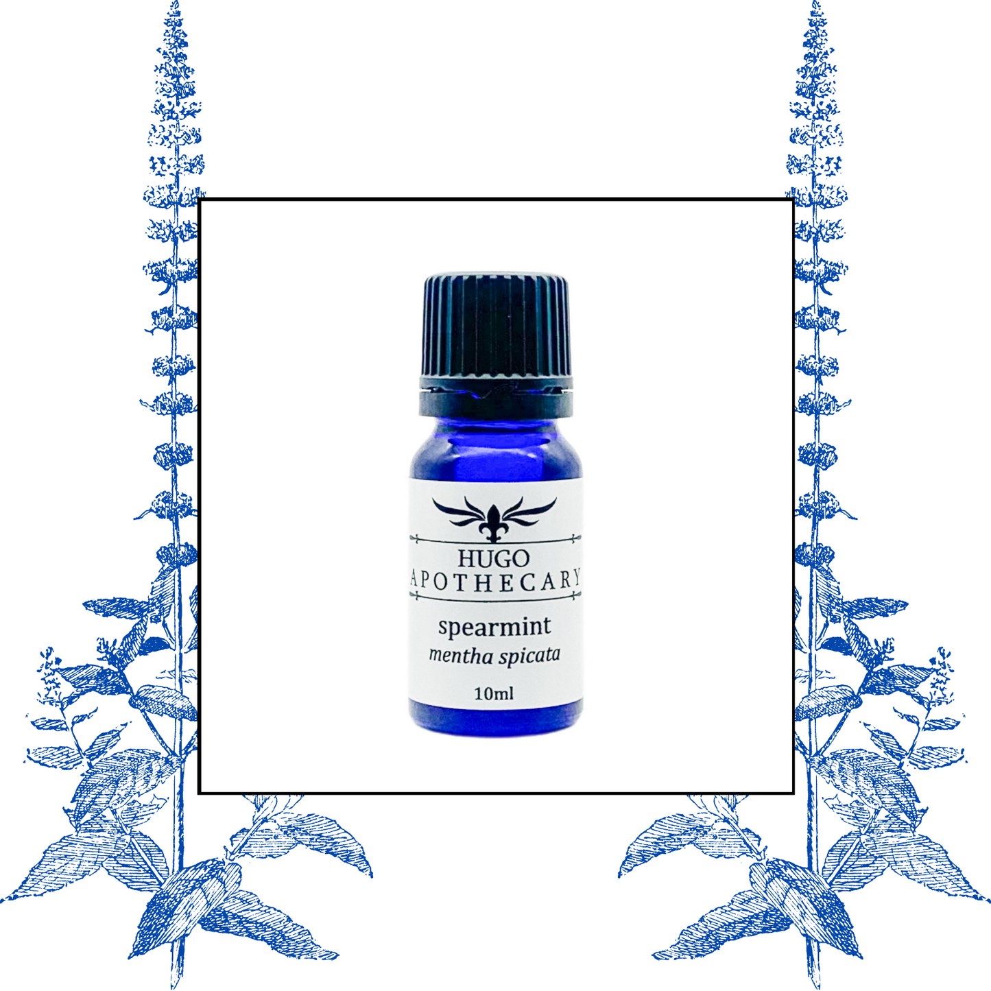 Spearmint essential oil