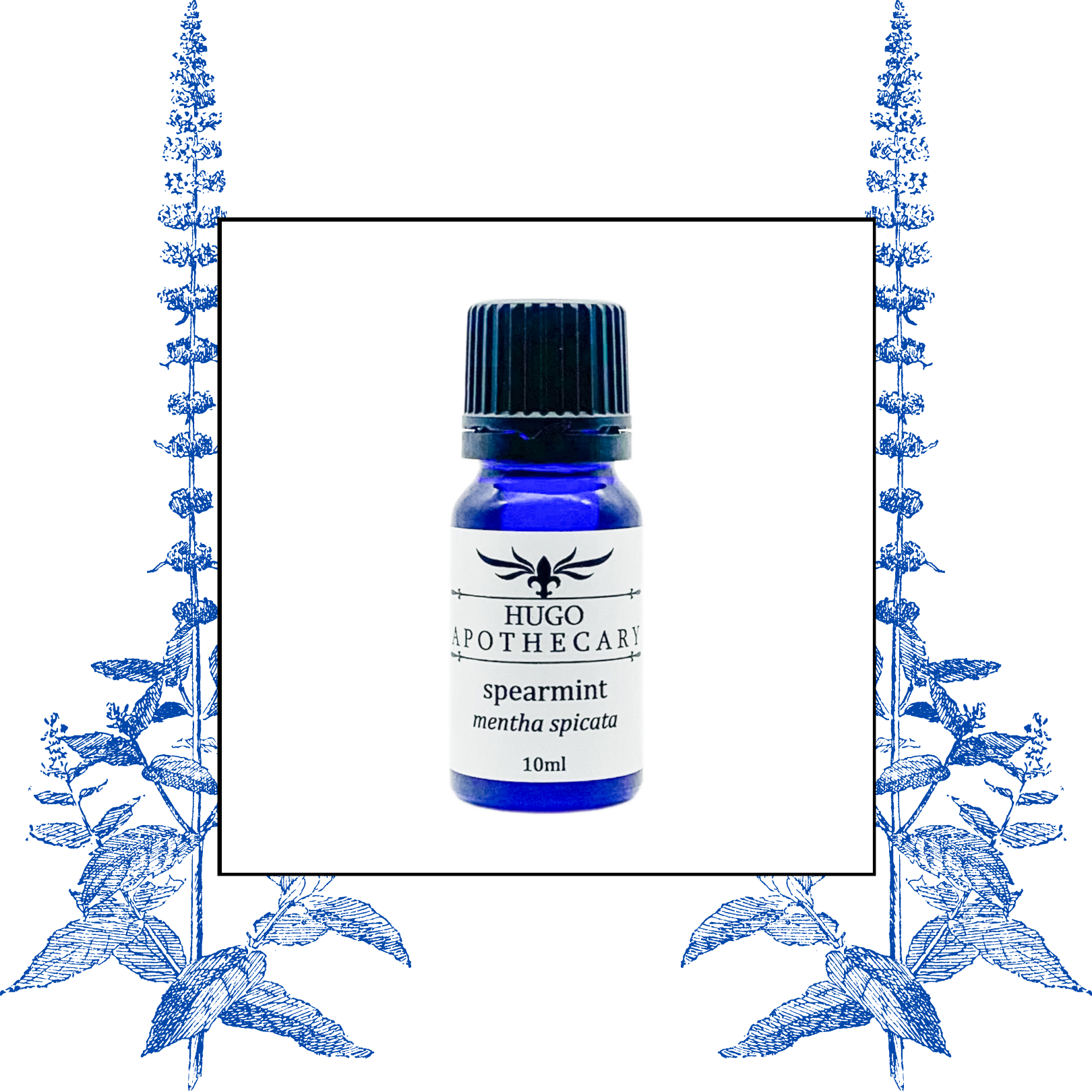 Spearmint essential oil