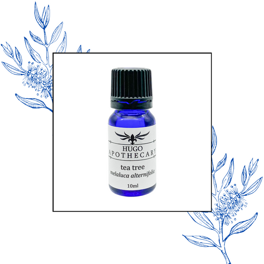Tea Tree essential oil