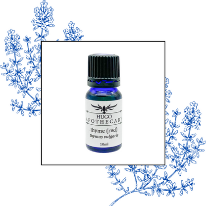 Thyme (Red) essential oil
